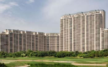 4 BHK Apartment For Sale in DLF Camellias