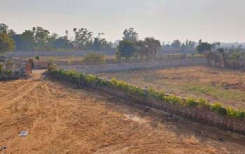 Agriculture Land For Sale Near KMP Expressway Gurgaon